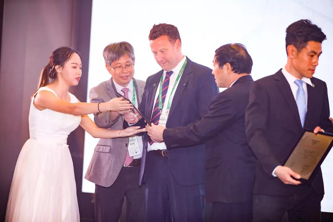 1574913993233767.jpg 21.jpg