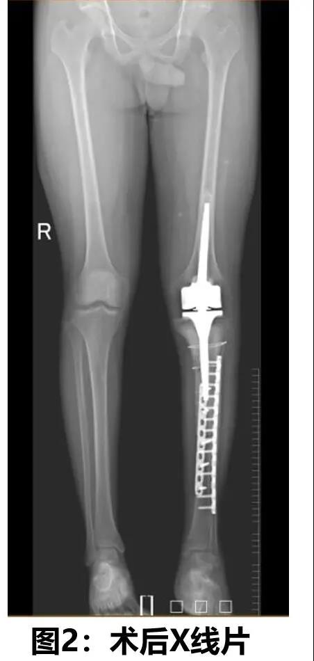 圖片關(guān)鍵詞 圖片關(guān)鍵詞