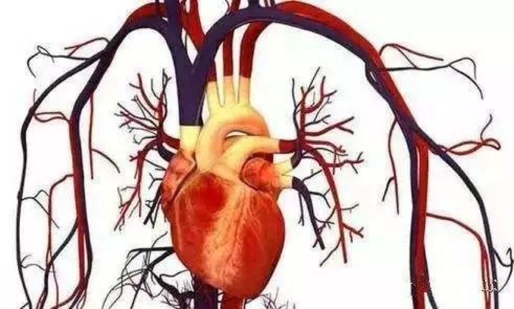 圖片關(guān)鍵詞 圖片關(guān)鍵詞