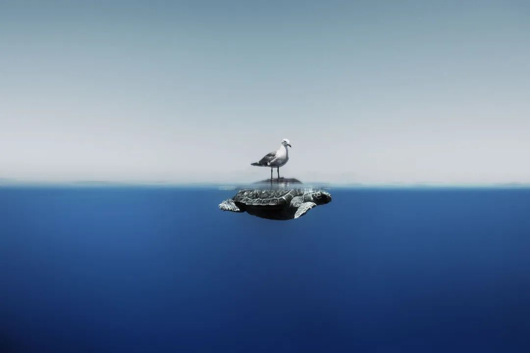 圖片關(guān)鍵詞