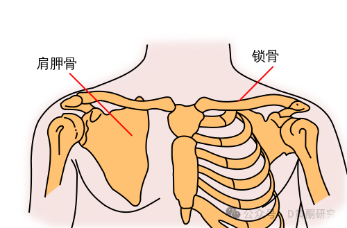 1752229622774793.png 微信圖片_20250711182157.png