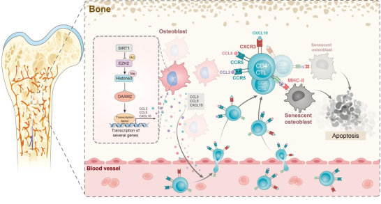 圖片關(guān)鍵詞