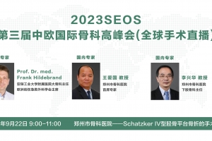第三屆中歐國際骨科高峰會（全球手術(shù)直播）Schatzker IV型脛骨平臺骨折的手術(shù)治療