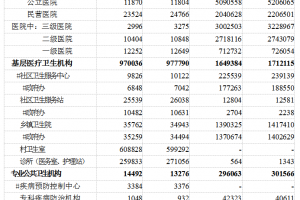 淺談國內(nèi)的醫(yī)院體系