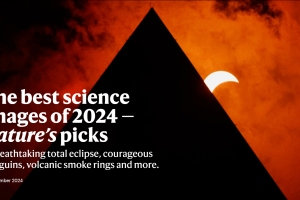 Nature2024年度最佳科學(xué)圖片公布！